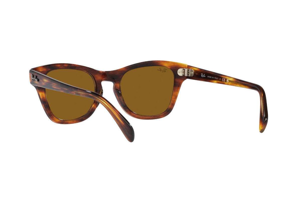 Ray-Ban Lentes de Sol